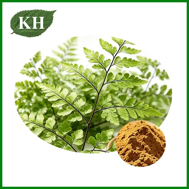 Huperzia Serrate Extract